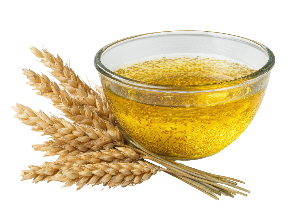 wheat germ oil